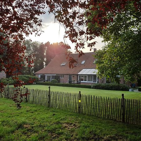 B&B Bergenhof Hoogstraten Exterior photo