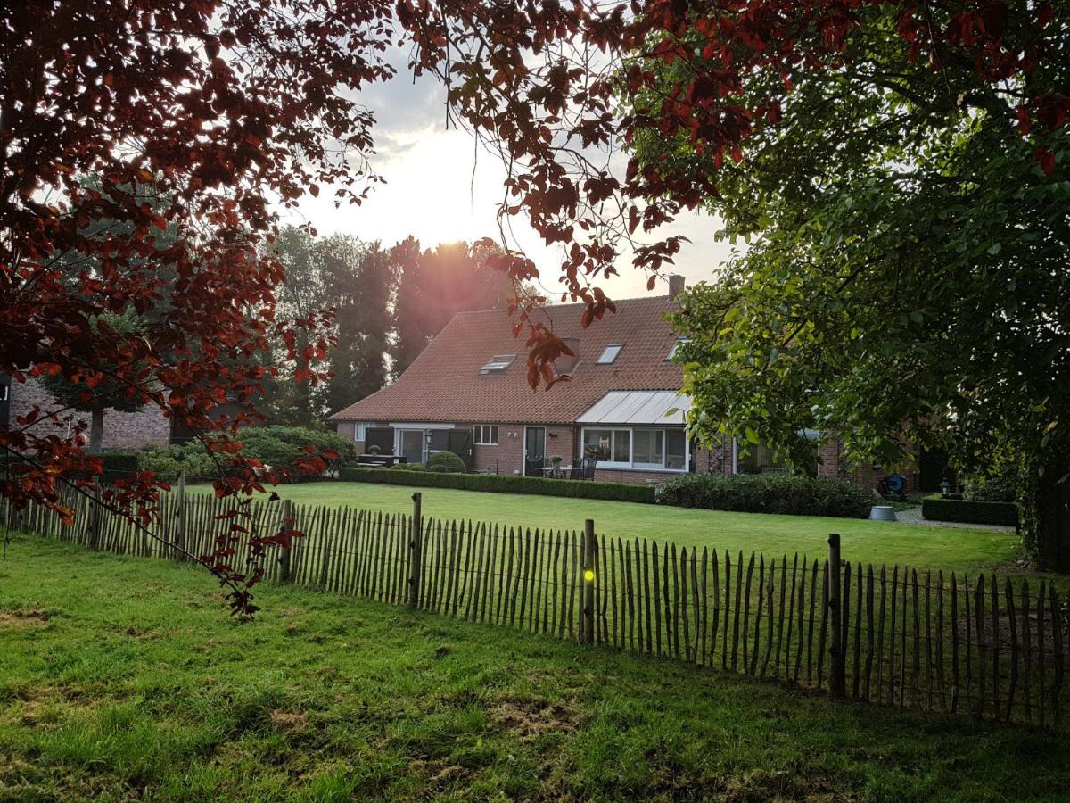 B&B Bergenhof Hoogstraten Exterior photo