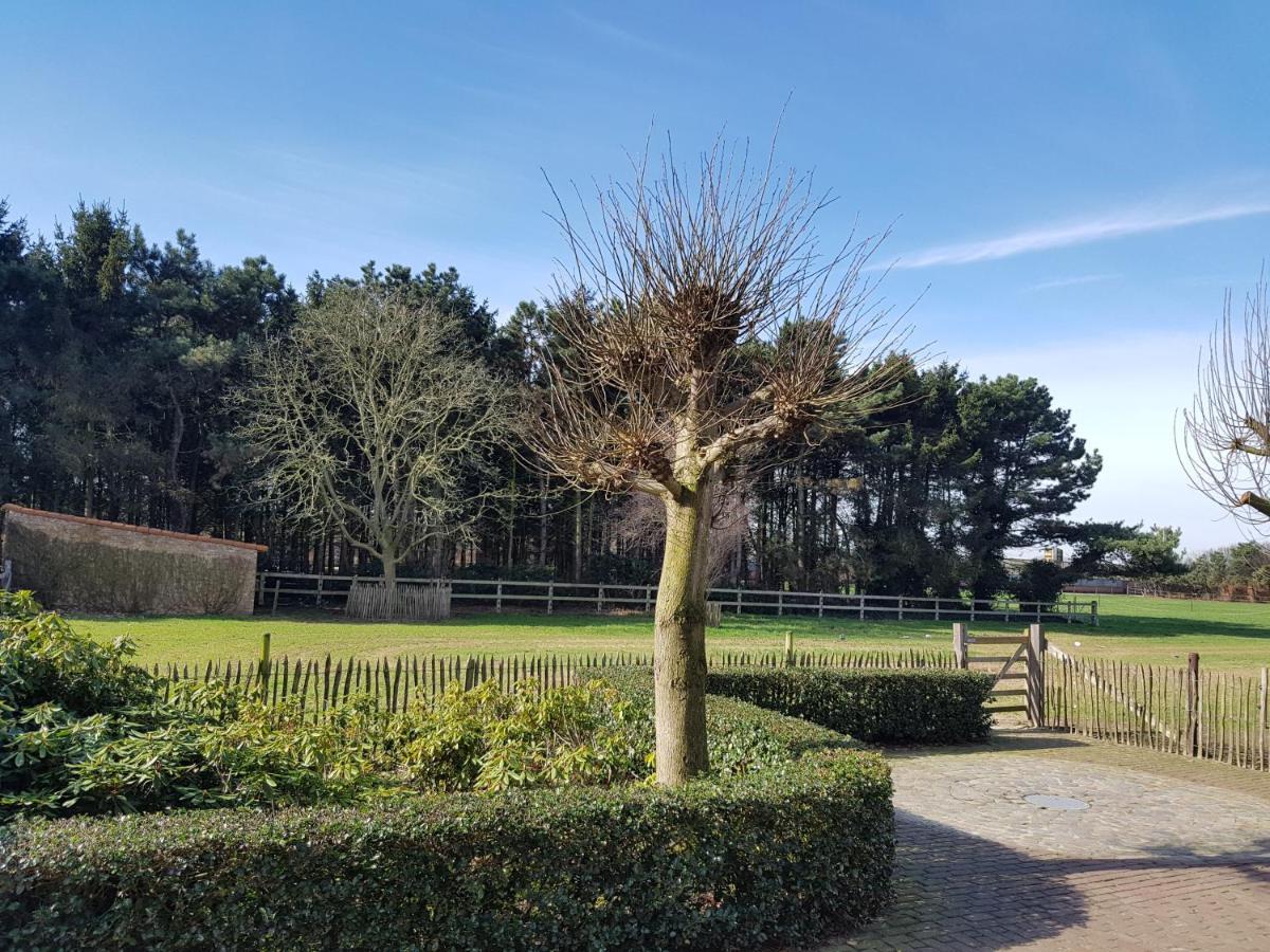 B&B Bergenhof Hoogstraten Exterior photo
